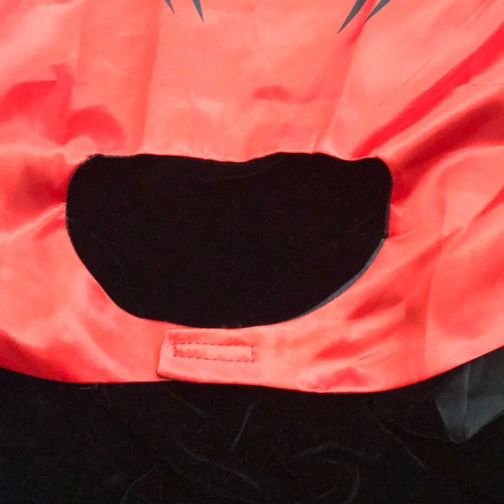 Spider-Man Cape - Picture 5 of 5